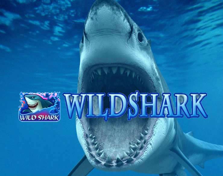 Wild Shark - Amatic Games catalogue