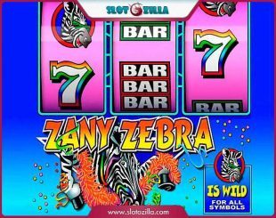 Zany Zebra