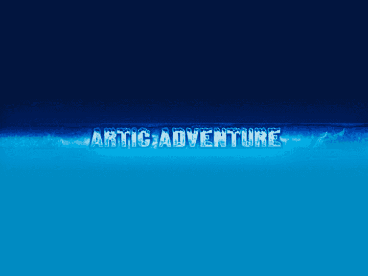 Artic Adventure