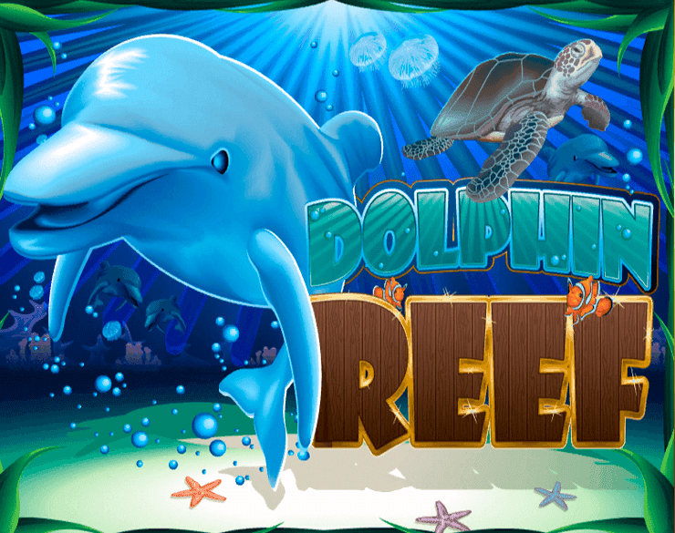 Dolphin Reef