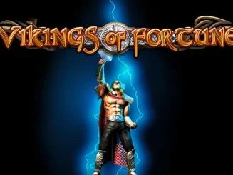 Vikings Of Fortune