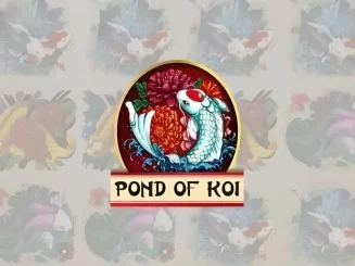 Pond Of Koi