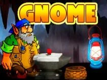 Roamin’ Gnome