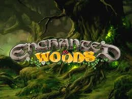 Enchanted Woods