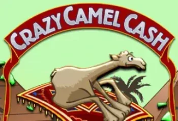 Crazy Camel Cash