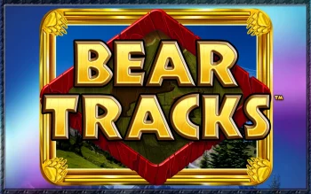 Bear Tracks