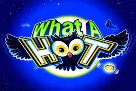 What a Hoot