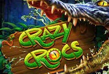 Crazy Crocs