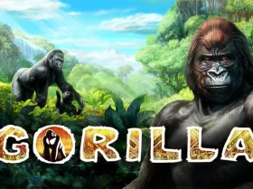 Gorilla