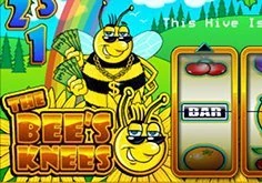 The Bees Knees!
