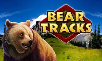 Bear Tracks