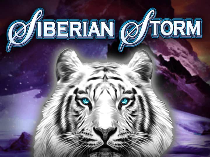 Why Might Siberian Storm Players Find the MultiWay Xtra Feature Useful