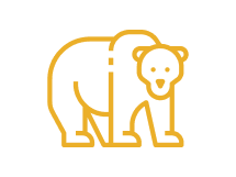 Bear Slots
