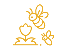 Bee Slots