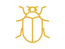 Beetle Slots