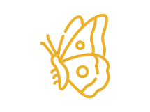 Butterfly Slots