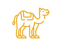 Camel Slots