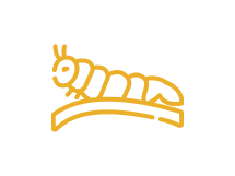Caterpillar Slots