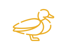 Ducks Slots
