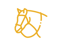 Equestrian Slots