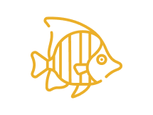 Fish Slots