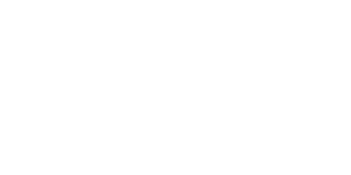 Slots Animal Casino